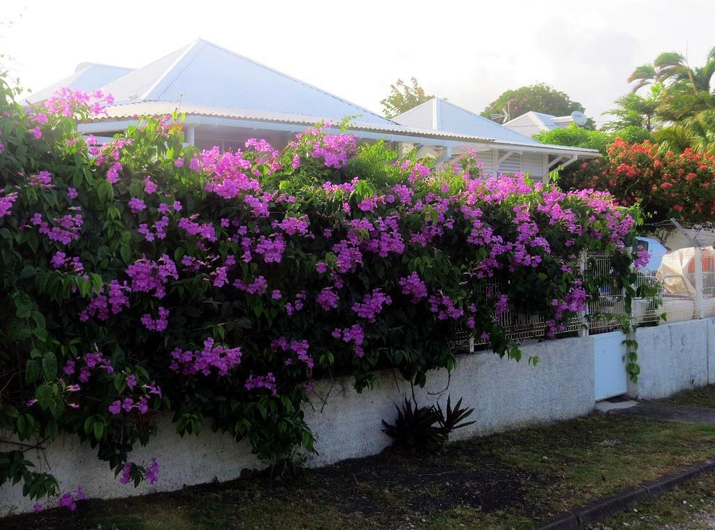 Bungalow Soleil Villa Sainte-Anne  Bagian luar foto